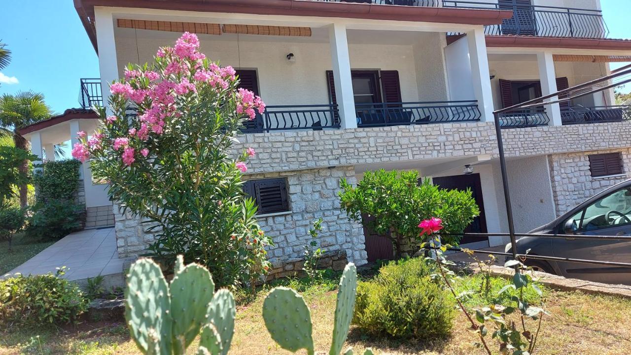 Apartments Nina, Pinta & Santa Maria Nova Vas  Kültér fotó
