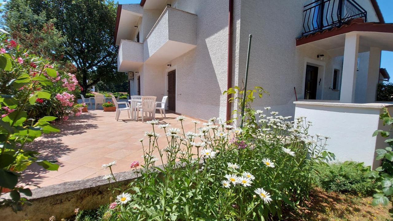 Apartments Nina, Pinta & Santa Maria Nova Vas  Kültér fotó